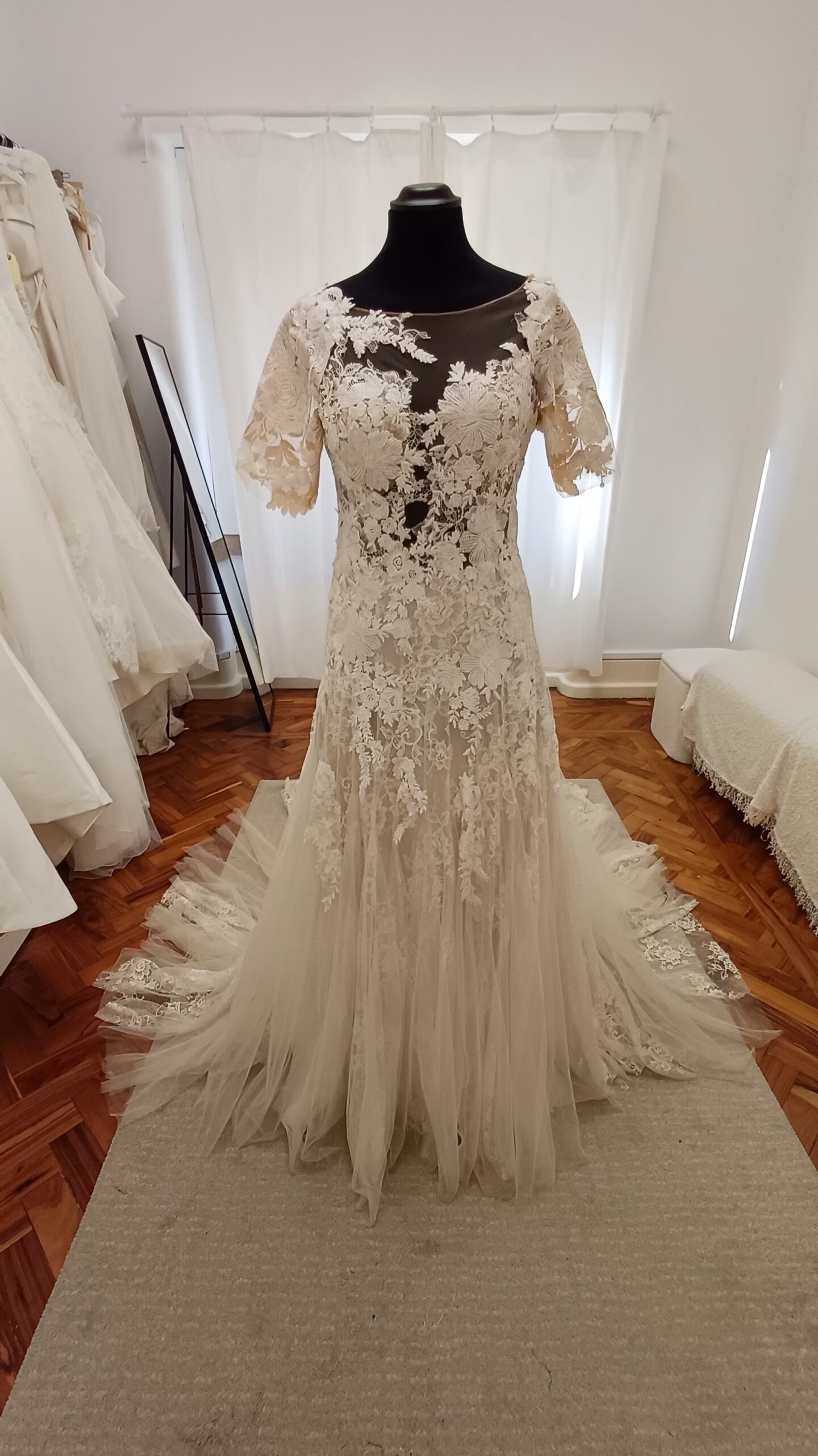 Dalia - Image 5
